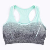 High Stretch Sports Bra