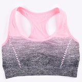 High Stretch Sports Bra