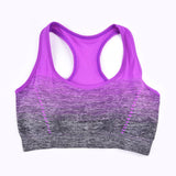 High Stretch Sports Bra