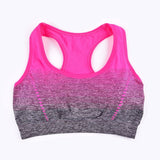 High Stretch Sports Bra